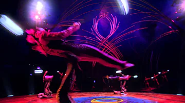 Cirque Du Soleil - Amaluna - Live in the Bay Area