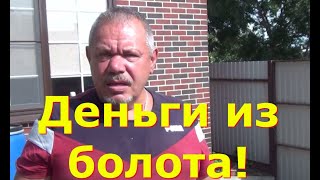 Насколько ил, богаче чем навоз. Деньги из болота!