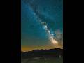 Lone Tree Beneath the Milky Way ✨ | Magical Starry Night #shorts