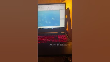 Day two of making a Roblox fps game