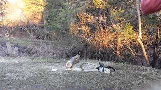 STIHL 020 AV MADNESS!
