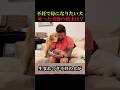 ㊗️850万回再生！不妊で母になりたい犬の奇跡の結末は！？　#動物　#感動 #animals