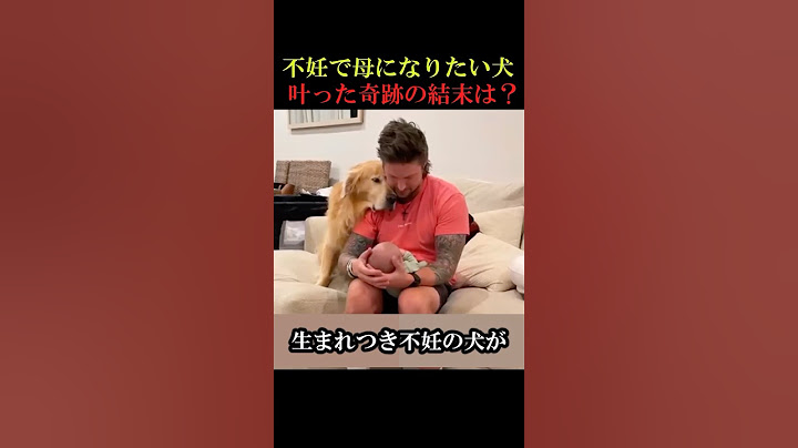 ㊗️850万回再生！不妊で母になりたい犬の奇跡の結末は！？　#動物　#感動  #animals