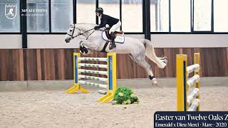 Easter Van Twelve Oaks Z