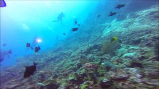 201411@sabah (MABUL / SIPADAN / KAPALAI)