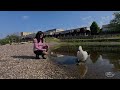 У Дністрі чиста вода Підтверджено веризубом 