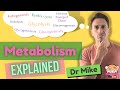 Metabolism overview
