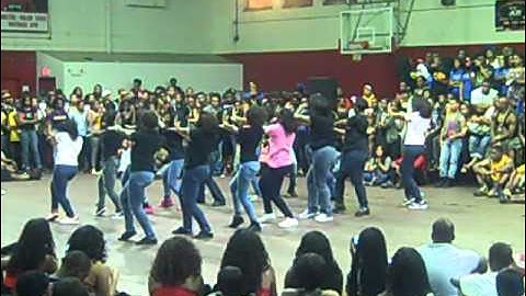 The Gorgeous Gamma Lambda Chapter of Alpha Kappa Alpha Sorority, Inc at the 2011 WSSU Yardfest