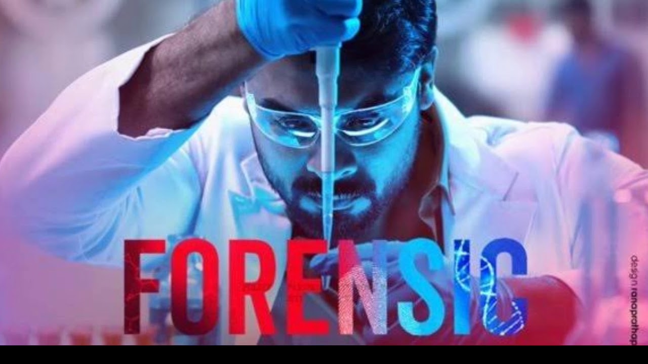 Forensic bgm la la lalala👈