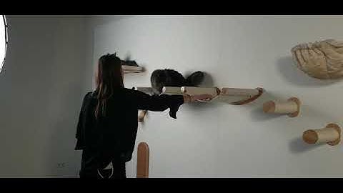 Behind the scenes of our new Modular Cat Wall System: 