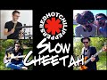 RED HOT CHILI PEPPERS (Slow Cheetah) - TUTO Guitare Feat.@batterieenligne