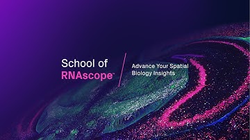 School of RNAscope 2024 Overview