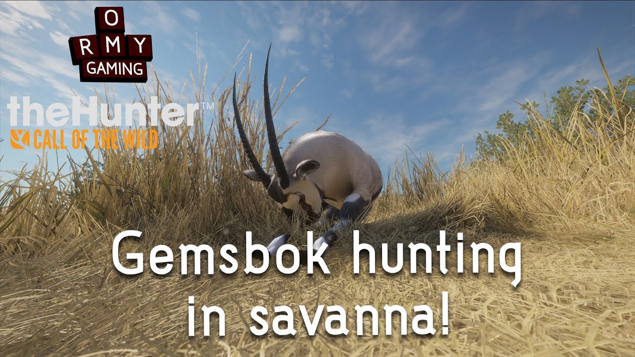 Gemsbok Call Of The Wild