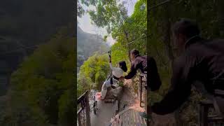#trip#fun#music