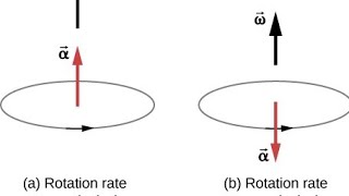 XI PHYSICS CHAPTER 4: LECTURE 2