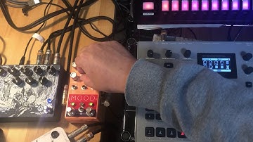 Elektron Analog Four Mk2 Chase Bliss Audio MOOD Walrus Audio DESCENT song of small birds sounds