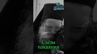 СЛЁЗЫ ПОКАЯНИЯ. Святитель Ерем Сирин #мудрость #animals #цитатыосмысле #святые