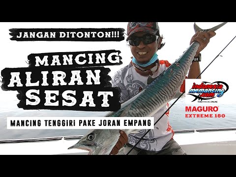 Maguro Extreme 180 Vs Tenggiri Kepulauan Seribu