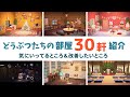 【あつまれどうぶつの森 】30軒の別荘インテリアを紹介！【ハッピーホームパラダイス　ゆっくり実況 】