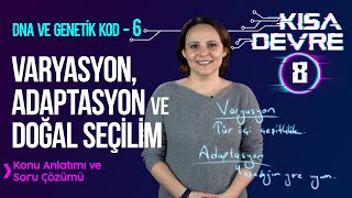 8 Sınıf Fen Dna Ve Genetik Kod 6 Varyasyon Adaptasyon Doğal Seçilim Lightboard Ile Ders 