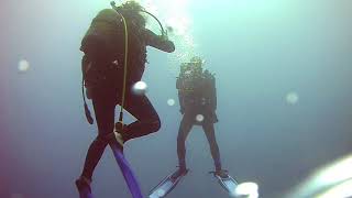 Karaburun 9 Eylül Batık Dalışı