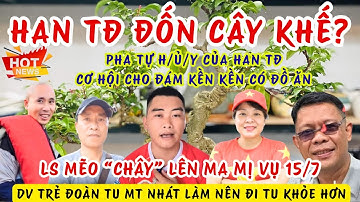Động Cơ Nào Khiến Han Tóc Đỏ Bem Sông Lam, MHN, Tuyên TT? LS Mõm Jay Lên Ma Mị Vụ 4 Nghi Phạm