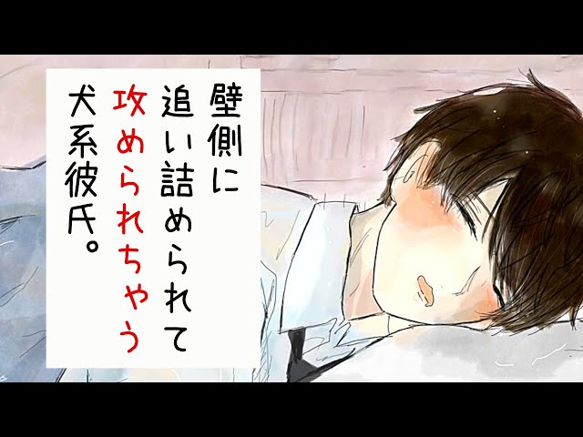 【女性向け】壁側に追い詰められて攻められちゃう犬系彼氏※途中広告なし※