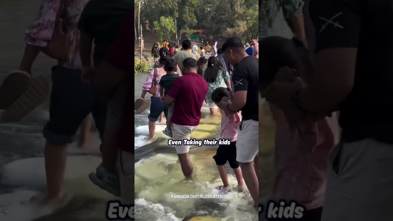 New year Celebration with Friends 