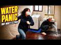 A Laundry Room Repair Turned Into Water Panic in a Japanese Home.