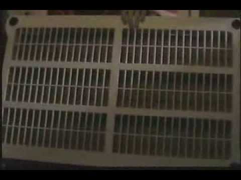 reptile care app Rack Update