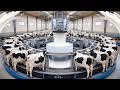 Amazing Milk Production Process: From Smart Farm to Modern Factory | Mega Factory