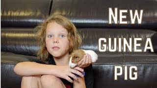 New Guinea Pig by Me and E-man 552 views 2 years ago 7 minutes, 39 seconds