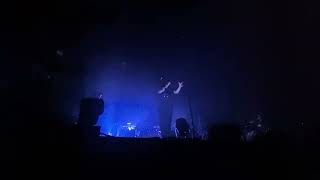 Archive - Intro, Mr Daisy (Live, Lyon, France, 19.11.2023)