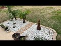 Palm Winter Garden Update ❄️🌴 (Part 3)