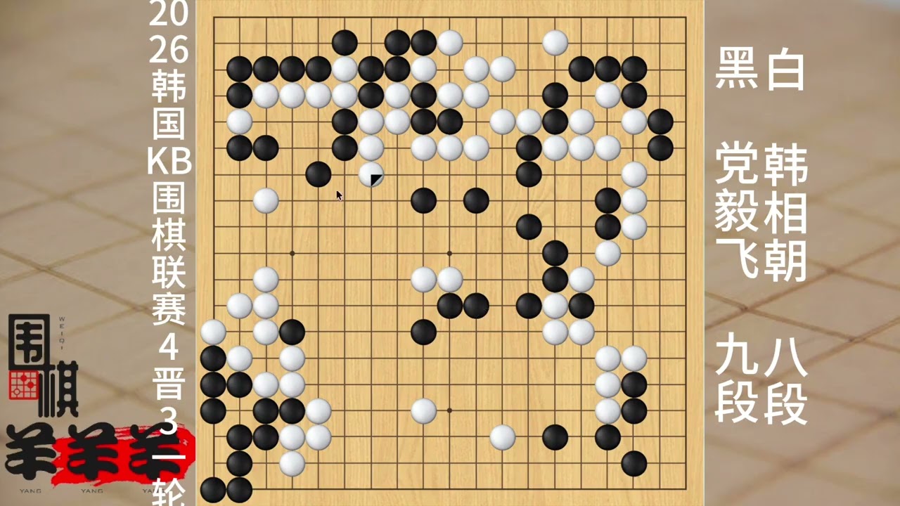 2026韓國圍棋聯賽4晉三，黨毅飛和韓相朝在中腹打天下大劫 #腦力游戲 #趣味 #游戲時間 #接不歸圍棋視頻講解 #圍棋禁入點詳細講解