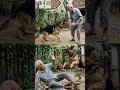 Chấn động, ông cụ 83 tuổi bị chú cún cua kính cắn ra đi #shortvideo  #tintuc