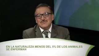 HIPERTENSIÓN PROGRAMA ESPECIAL, MELÓN CHINO, REEDUCACIÓN SOCIAL CAP 225 B 1 DE 5 FHD