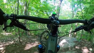 Gyromitre screenshot 1