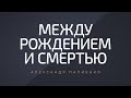 Между рождением и смертью. Александр Палиенко.