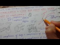 LUNG AND CHEST WALL GRAPH | COMPLIANCE  explained | USMLE STEP 1 | RESPIRATORY PHYSIOLOGY