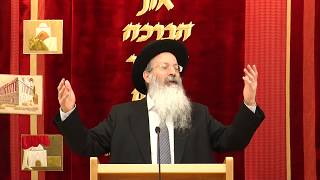 עצי פרי ובל תשחית - פניני הלכה כשרות חלק א פרק יג