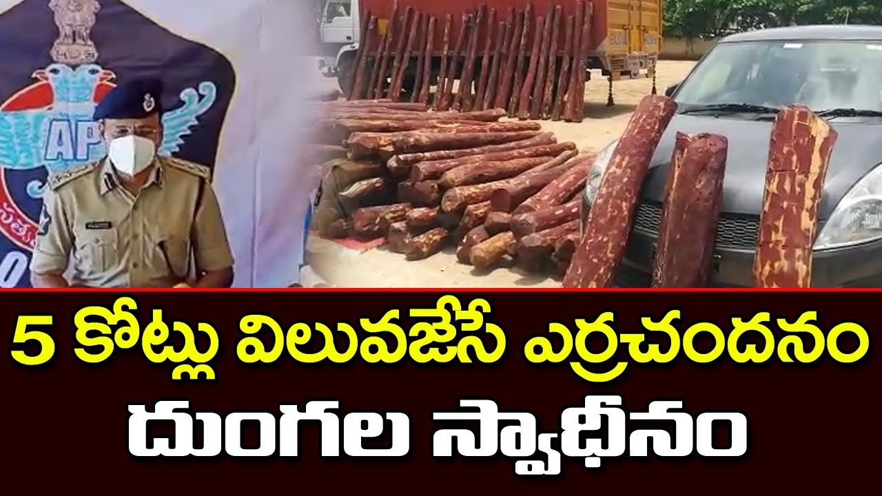Chittoor Police Caught Red Handed 11 Tons Of Red Sandalwood | News Ride