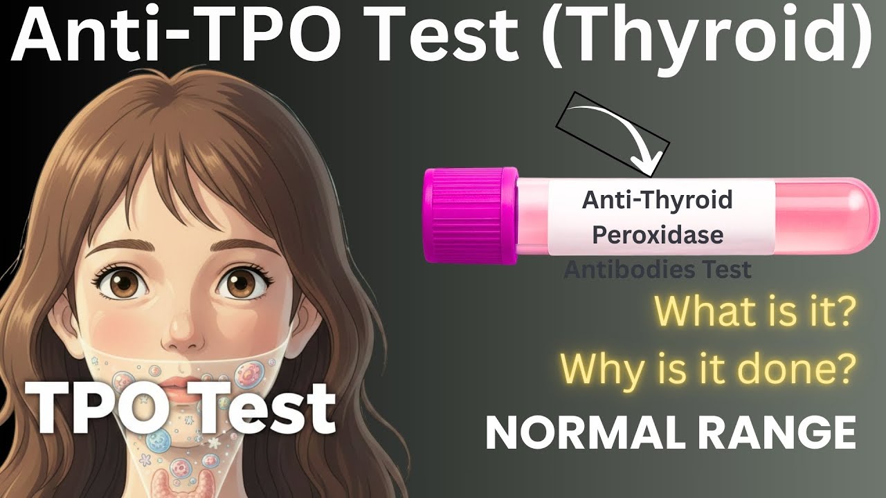 Tpo Ranges Anti-TPO Antibodies Test | Thyroid Peroxidase Antibodies | Anti ...