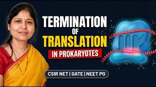 Termination of Translation in Prokaryotes 🔬 | Stop Codons, RF1 RF2 RF3 | Episode 6