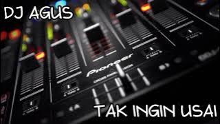 DJ AGUS - TAK INGIN USAI