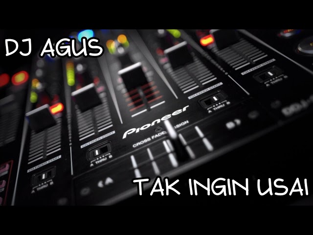 DJ AGUS - TAK INGIN USAI class=