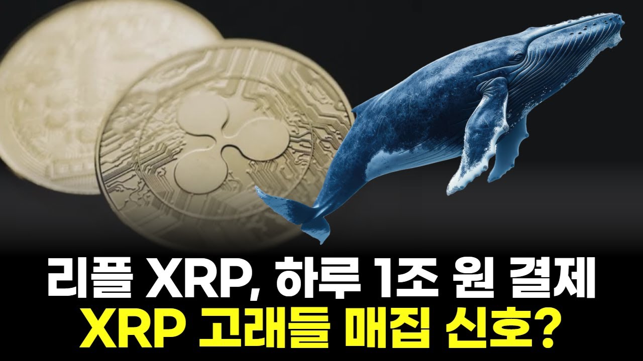리플 XRP, 하루 1조 원 결제...XRP 고래들 매집 신호?