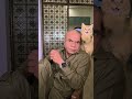 Rajpal Yadav Aniruddhacharya comedy with funny cat #comedy #shorts #trending #memefest #viral #funny