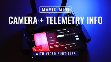 DJI Mavic Mini / Mini 2 Camera + Telemetry Data (With Video Subtitles)