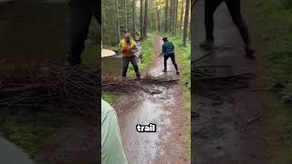 Rangers Kept Clearing This Trail… Until They Followed the Beaver 🦫